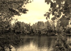 Sepia