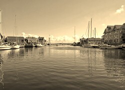 Szary + Sepia