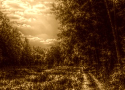 Sepia