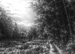 Szary + Sepia