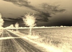 Sepia + Negatyw
