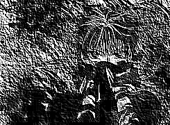 Skamielina