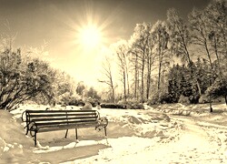 Sepia