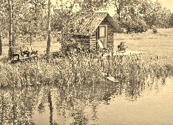 Sepia