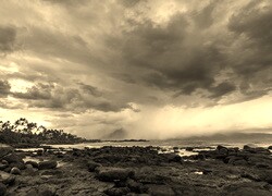 Szary + Sepia