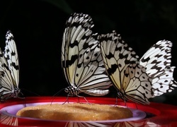 Oryginalny obrazek
