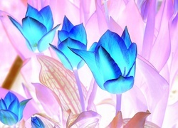 Negatyw