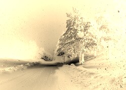 Sepia + Negatyw