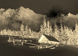 Sepia + Negatyw
