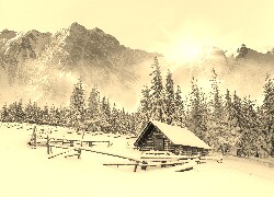 Szary + Sepia