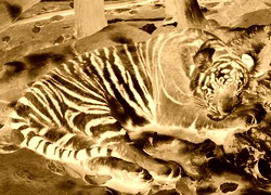 Sepia + Negatyw