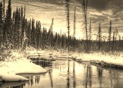 Sepia