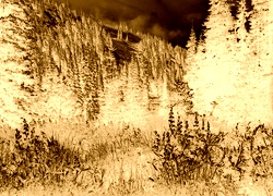 Sepia + Negatyw