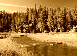 Sepia