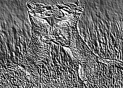 Skamielina