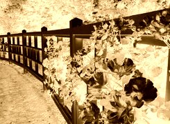 Sepia + Negatyw