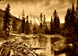 Sepia