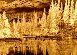 Sepia + Negatyw
