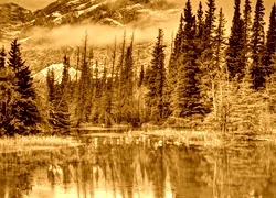Sepia