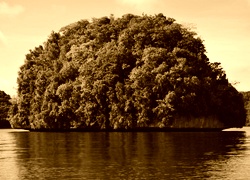 Sepia