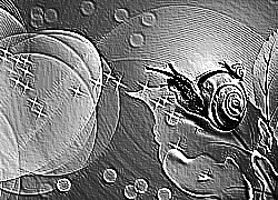 Skamielina