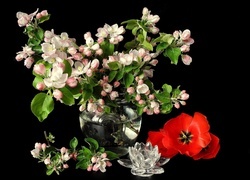 Oryginalny obrazek