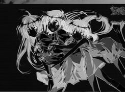 Szary + Negatyw
