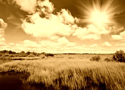 Sepia