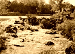 Sepia