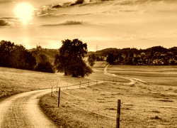 Sepia