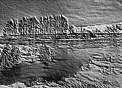 Skamielina