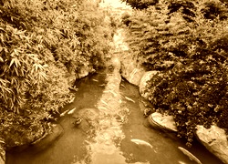 Sepia