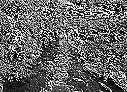 Skamielina