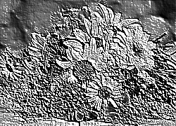 Skamielina