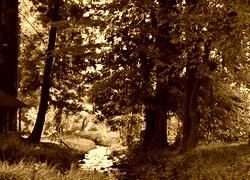 Sepia