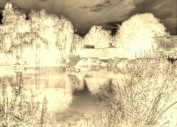Sepia + Negatyw
