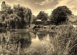 Szary + Sepia