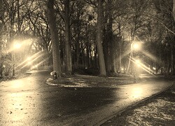 Szary + Sepia