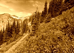 Sepia