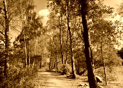 Sepia