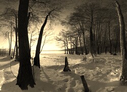 Szary + Sepia