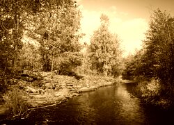 Sepia