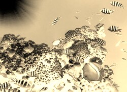 Sepia + Negatyw