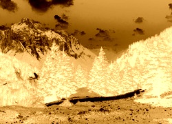 Sepia + Negatyw