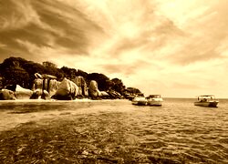 Sepia