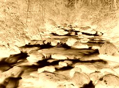Sepia + Negatyw