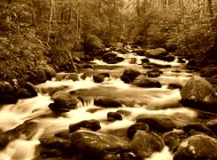 Sepia
