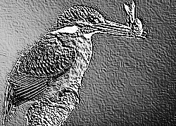 Skamielina