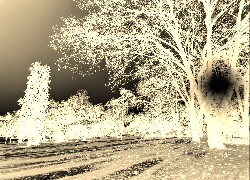 Sepia + Negatyw