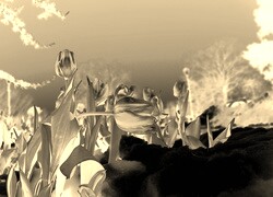 Sepia + Negatyw